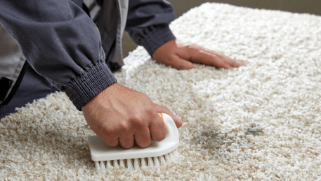 Professional Rug Cleaning Golden Point